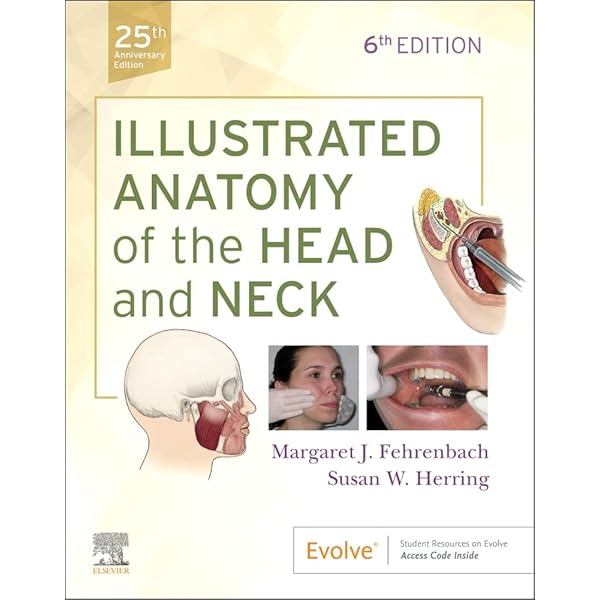歯科技工　ワークブック　ヴィリーゲラー Workbook for Dental Radiography: A Workbook and Laboratory